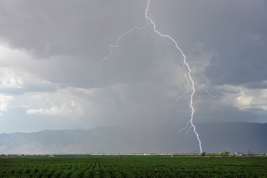 lightning with rain falling over a field