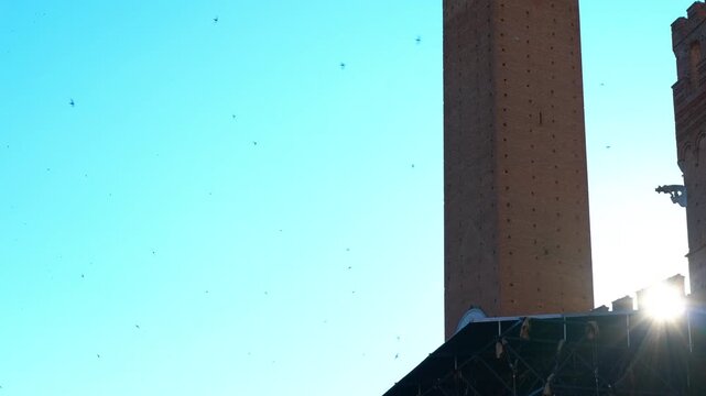 Torre del mangia in piazza del campo, siena, with birds flying around. Birds are flying around torre del mangia, the second tallest secular tower in italy, located in piazza del campo, siena, tuscany