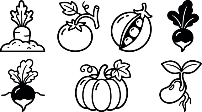 Line art vegetable icon set showing close up pumpkin tomato carrot in soil pea pod beet radish sprout bold outline simple