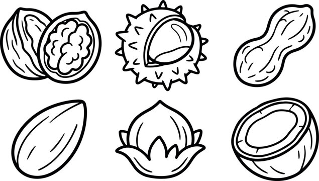 Line art vector six assorted nut icons walnut chestnut peanut almond hazelnut coconut half arranged in horizontal grid black outlines