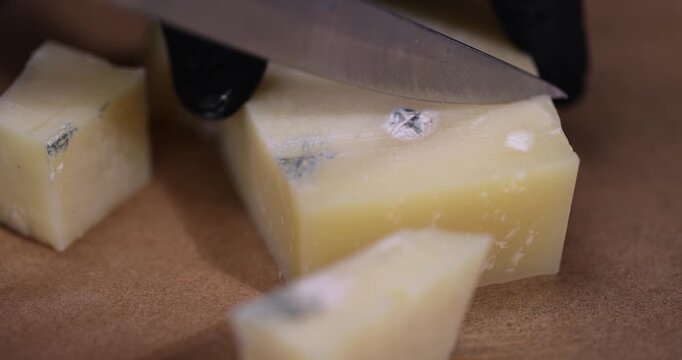 an old spoiled orange cheese with a lot of colorful mold, an inedible and dangerous cheese that was spoiled, close up
