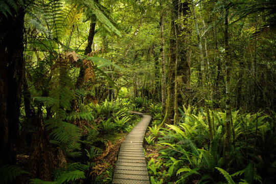 The Kepler Track Boarded Path - Great Walk New Zealand