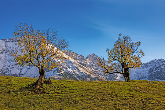 Allg&auml;u - Herbst - Hinterstein - Alpen - Berge - Oktober - malerisch
