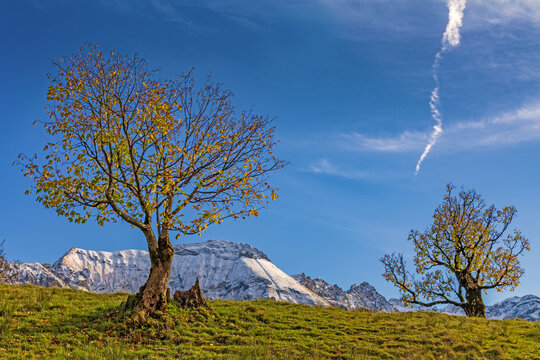 Hinterstein - Herbst - Bad Hindelang - Allg&auml;u - Alpen - Ahorn - B&auml;ume - malerisch