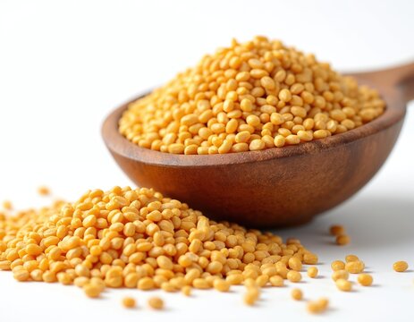 Dry proso millet seeds pile on wooden spoon and in bowl. Small yellow grains, healthy raw food ingredient for meals. Dietary organic cereal.