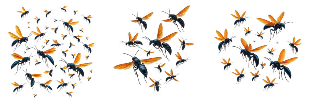 Swarm of tarantula hawk wasps Pepsis isolated on white background, large predatory wasps, parasitoid wasp swarm, insect cluster macro, pollinator and hunting wasps, flying tarantula hawks
