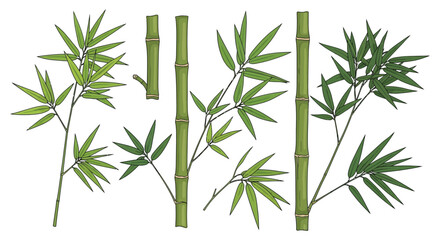 Obraz premium Bamboo stalks and leaves illustration set on white background.