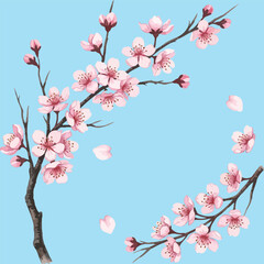 Fototapeta premium Cherry Blossom Branches on Light Blue Background vector