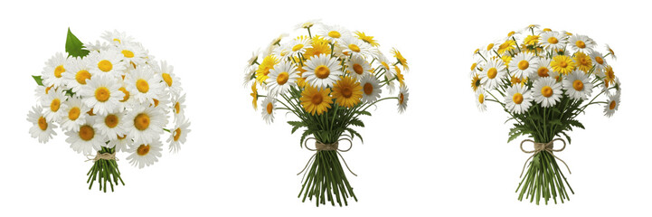 Daisy bouquet isolated on white background, Bellis perennis, Gerbera daisy, white and yellow daisies, summer flower bouquet, cut flower arrangement, florist bouquet, floral photography © Leaf