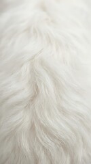Obraz premium Soft white fluffy fur texture background with natural hair pattern for cozy winter design projects and luxury fashion concepts.