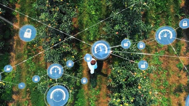 Vertical video: Farm team walking rows HUD popping and growing into IoT network monitoring trees
