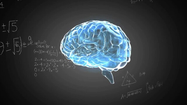 Translucent blue brain appearing, rotating and tilting while chalk formulas emerging, showing math