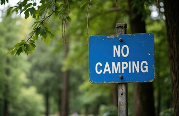 Fototapeta premium Blue metal signpost with white text NO CAMPING stands in forest. Green leaves hang nearby. Sign prohibits overnight stays in this wooded area.