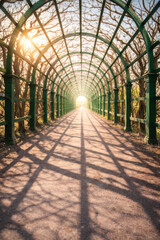 Fototapeta premium Sunlit garden tunnel with green metal pergola and long shadows perspective
