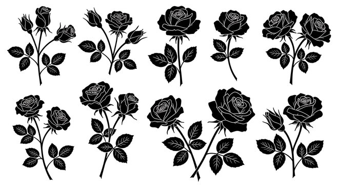 Elegant Black Rose Silhouettes - A Collection of Floral Designs.
