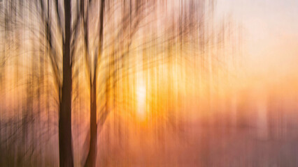 Fototapeta premium Ethereal soft-focus abstract texture with blurred light streaks and vertical flowing patterns transitioning to warm sunset tones of gold, amber, and soft peach. Dreamy high-key lighting creates a...