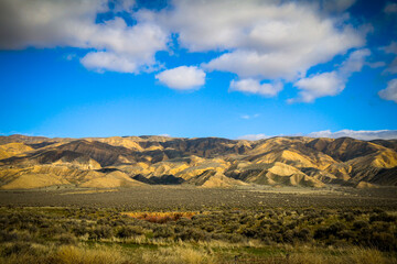 Fototapeta premium Golden hills stretch across a dry landscape under a vivid blue sky with scattered white clouds and patches of green grass in a peaceful wide open scene