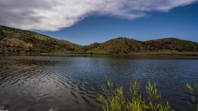 Slider move along the Missouri River shore with yellow wildflowers as clouds clear to blue sky over green hills, Montana, time lapse