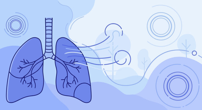 Human Lungs Breathing Fresh Air, Respiratory System Health Concept