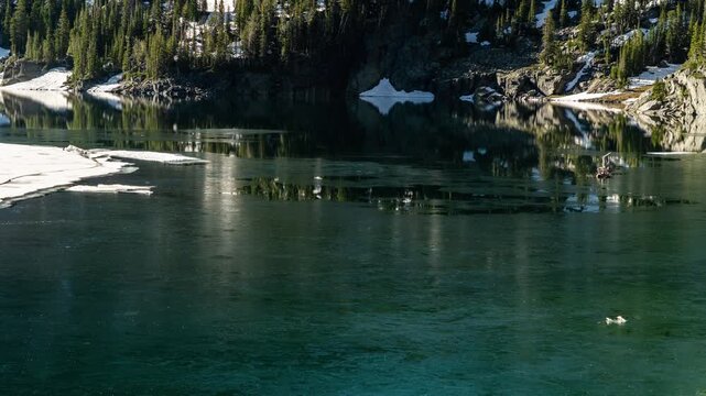 Ice melting and drifting on the green water of an alpine lake with snow on the forested shore, Pine Creek Lake, Montana, time lapse