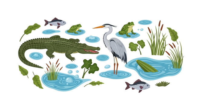 Top view illustration of a wildlife scene with a crocodile, heron, fish, and plants in a serene aquatic environment, set against a clean white background.