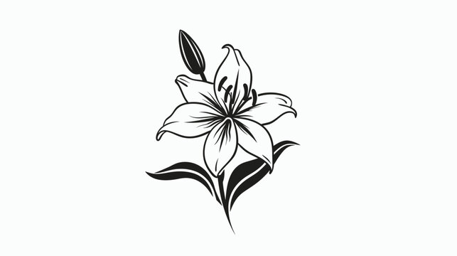 Elegant black and white lily flower illustration against white background