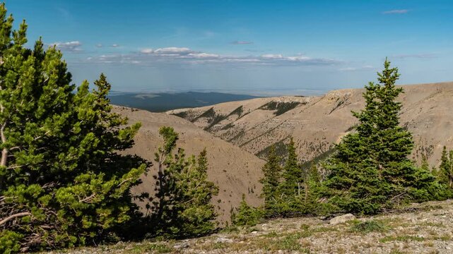 Thin clouds drifting over pine trees and bare ridges high in the Big Snowy Mountains on a sunny day, Montana, time lapse