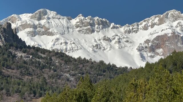 the texture of pine forests and the magnificent views of snow-capped mountains