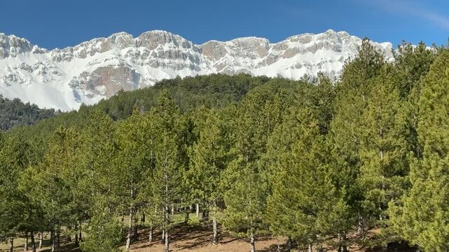 the texture of pine forests and the magnificent views of snow-capped mountains