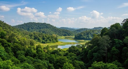 Fototapeta premium A stunning panoramic view showcases a lush, green tropical landscape. A serene lake reflects the surrounding dense forest and rolling hills.
