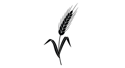 Simple black silhouette of a wheat stalk with leaves against white © Siam Studio