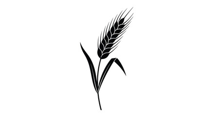 A simple black silhouette of a wheat stalk against a white background © Siam Studio