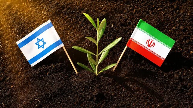 two hands carefully planting young olive tree sapling in soil with small israel and iran flags installed nearby symbolizing hope for peace and conflict resolution