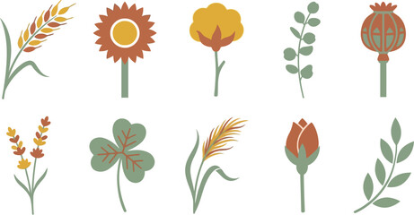 Minimalist boho wildflower elements with wheat sunflower cotton eucalyptus in mustard yellow terracotta sage green for modern floral branding design © Madhuka Disanayaka