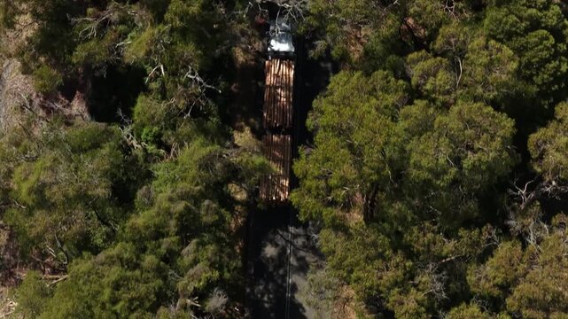 Heavyduty logging truck navigates narrow forest road with load