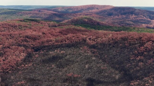 Burnt hills overview. Landscape view of charred terrain and new growth