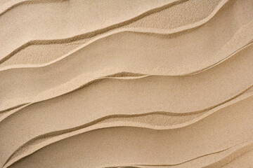 Fototapeta premium Wavy and dry sand, close up. Beach sand texture. sandy background with golden and white grains.