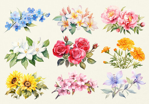 Vibrant Watercolor Floral Element Design Set