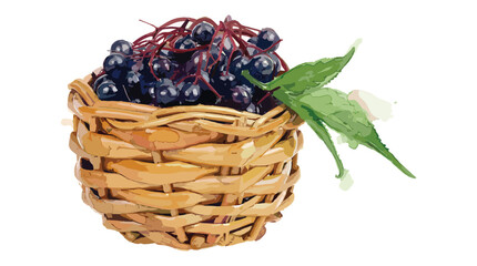 Obraz premium Basket of fresh elderberries with leaves and flower on transparent background