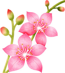 Obraz premium pink lily flower.