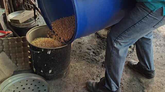 Pouring dried corn from a blue drum into a small bucket