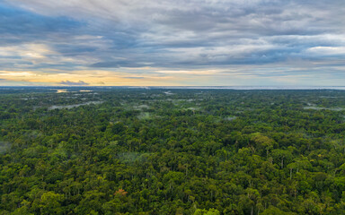 Fototapeta premium High-resolution aerial view of the Peruvian Amazon rainforest featuring an immense canopy of towering tropical trees and dense jungle vegetation stretching endlessly toward the horizon