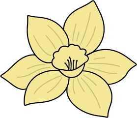 Obraz premium Yellow daffodil flower