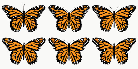 Six monarch butterflies displayed in various symmetrical poses on a white background © Juran