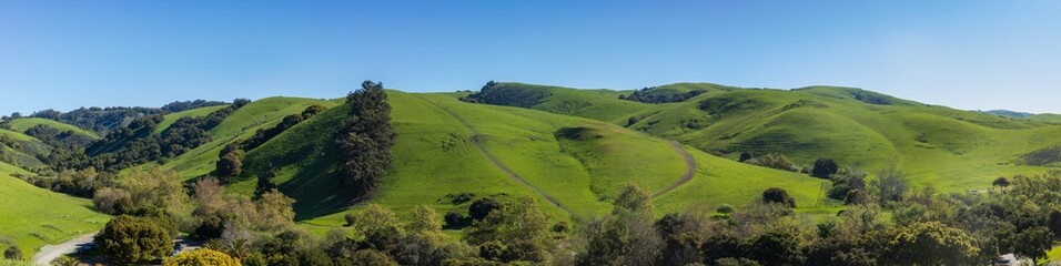 Wide panoramic landscape of rolling green hills under a clear blue sky. Garin Regional Park, Alameda County, California.