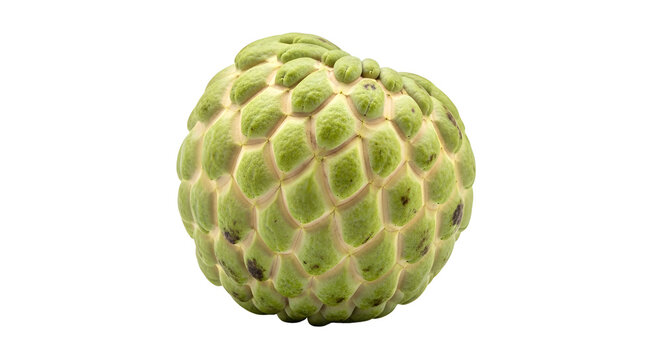 Fresh green sugar apple isolated on a clean white background, showcasing its unique bumpy texture and natural organic form, perfect for healthy food concepts and tropical fruit designs