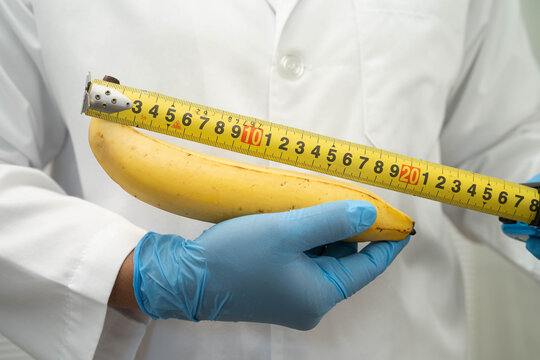 Doctor holding a banana with measuring tape, penis health.