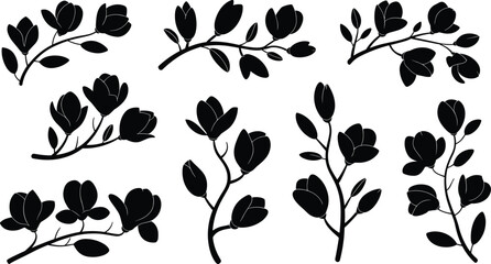 Black magnolia flower silhouette vector set, elegant floral branch icons for wedding decoration, and botanical design elements © Sume
