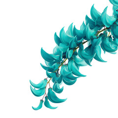 Jade Vine Clean Isolated White Background Stock Photo © Alice