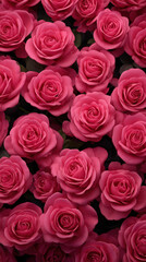 Naklejka premium Pink rose bouquet pink rose pattern pink rose closeup pink rose background pink rose texture pink rose arrangement